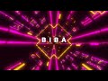 Biba(DJ B Remix)| Party Mix