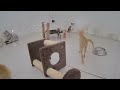 😆 Funniest Cats and Dogs 🤣 Funny Animal Moments 2024 😘