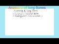 Orthopedics of  Anatomy of long Bones, periosteum, structure of compact bone .............