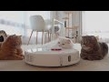 Cats vs Robot Vacuum | Kittisaurus