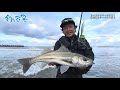 【釣り百景】#364 サーフ&リバーを攻略！秋田県のシーバスを追う