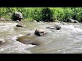 Relaxation Sound river Help fall a sleep, Gurgling River Water 으르렁 거리는 강물 water sounds for stress