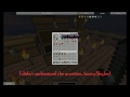 Minecraft: Pranking Admin ftw!