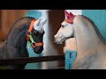 New Horses at Silver Star Stables! - Short Schleich Movie