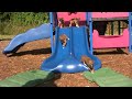 6 Week Old Boxers Go Down Slide