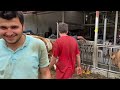 QURBAN ANIMAL UNLOADING 2021