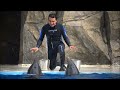 Batumi Dolphin Show