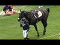 Burghley Horse trials 2022 - Best falls and refusals