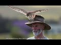 BIRD PHOTOGRAPHY TIPS & CAMERA SETTINGS - Capturing birds of prey in flight and in action.