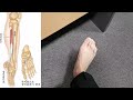 Easy ankle sprain exercises and ankle pain relief massage