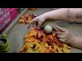 Fall Gnome Wreath DIY ~ Dollar Tree DIY ~ Original Creator of Fall Gnome ~ Gnome Wreath Series #2