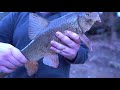 AFTER WORK FISHING | Outdoor Odyssey