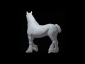 Belgian Draft Horse - Speedsculpt in Blender