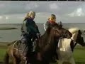 Rescue of 200 horses by 7 women in 2006 ( Netherland )