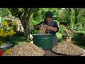 Preparing a Year’s Worth of Local Noodles | Homemade Pasta