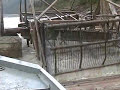 Alaska Yukon River Fishwheel Catching Salmon - Stan Zuray