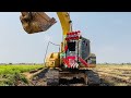 The Best Big Project Equipment Bulldozer Pushing Big Rock Stone and Clear Forestry with Dump Truck