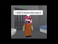 Funny Roblox Videos