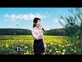 Spring Breeze(Korean Art Song) AeroPhone Performance (Violin Version)