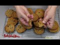 The Best Chewy Chocolate Chip Cookies Recipe