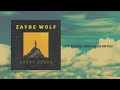 ZAYDE WOLF - THE FUTURE LOOKS GOOD ON YOU - AUDIO