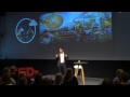 Cocoa: Food of the Gods | Simon Waslander | TEDxUniversityofGroningen