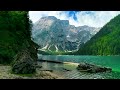 Calming music for nerves 🌿 healing music for the heart and blood vessels, relaxation #4