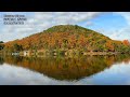 京都の紅葉名所50選  Kyoto Top50 Autumn leaves Spots JAPAN 京都観光 旅行 案内 日本の紅葉  Guide autumn colors maple