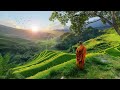 Reiki Music, Get Rid of All Bad Energy • Increase Mental Strength, Reduce Stress and Anxiety