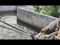 কিভাবে জমিতে পানি দেয় 2 | Vlog 35 | Prio Ahmed Official