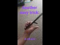 easy butterfly knife trick: a rollover