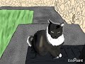 Speed draw of a community cat in a neighborhood | VI0L3T