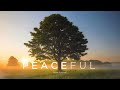 Ennio Morricone - Peaceful Music in Movies (High Quality Audio)