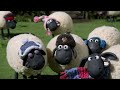 La Oveja Shaun 🐑 ¡PATO! 🐑 Dibujos animados para niños