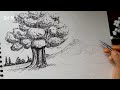 Pen Sketch | Landscape with Tree and Rocks | Real Time