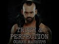 Truth & Perfection (Shawn Spears Mashup)