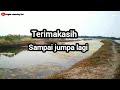 SPOT INI TERNYATA  BANYAK IKAN NILA NYA