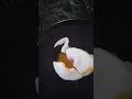 Nanny D's easy poached eggs hack