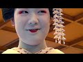 True Geisha - A Documentary