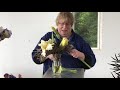 Floral Arranging with Iris: Part 1 of 3