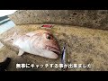 【ショア真鯛釣り】プラグでショアから真鯛を狙って釣りしてみました