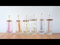 How to Make Rock Candy from Fruits & Vegetables Recipe