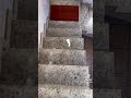 ASMR rolling down bottles from stairs