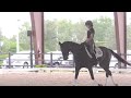 4 Exercises for Getting your Horse on the Bit with George Williams