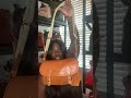 Dooney and Bourke Natural Handbag Collection