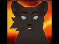 - И твои родители,твои настоящие родители? Остролистая|Hollyleaf|WarriorsCats #animation