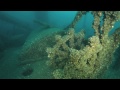 Daniel J. Morrell shipwreck, Lake Huron, USA