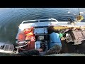 Lake Dartmouth Trout Fishing and Yabbying Trip Mid June 2024