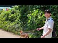 [Helping DOWOON3] Ep.7 DoggyDOWOON #3