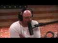 Former Mexican Border Agent on Sicario Accuracy, Cartels Being Designated as Terrorists | Joe Rogan